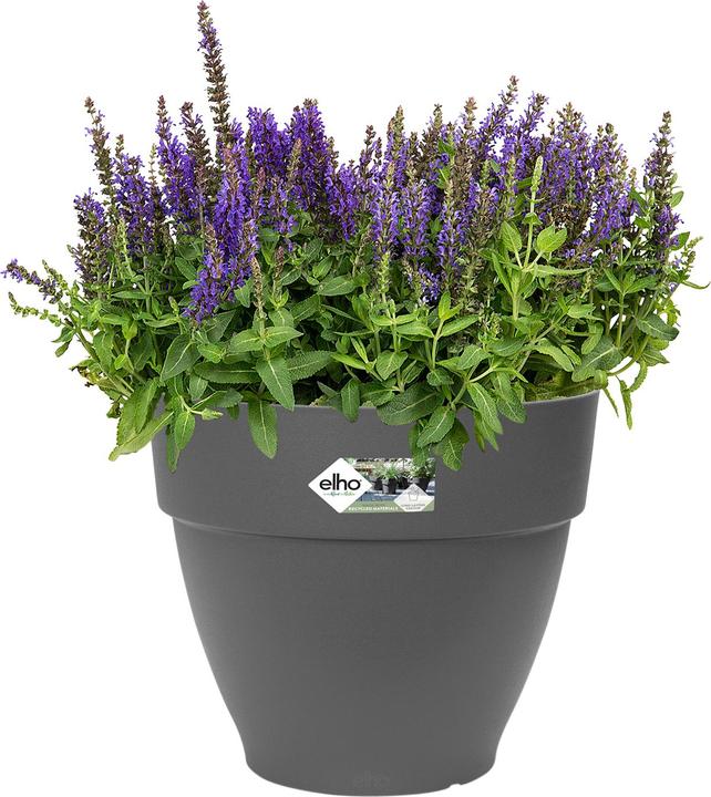 Actual product image Elho Vibia Campana (34.50 cm)