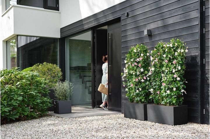 Actual product image Elho Vivo Next Lang (60 x 30 x 29 cm)