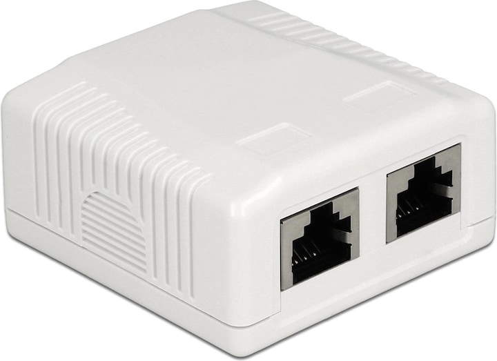 Delock RJ-45 Cat.6A Gehäuse: 2 Port (Netzwerk Zubehör)