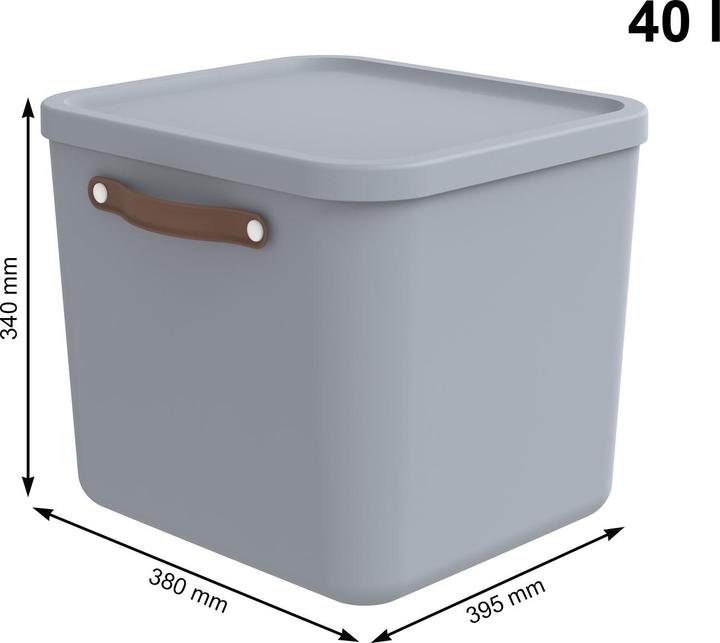 Actual product image Rotho 2er-Set Aufbewahrungsbox Maloja 40l (40 l)