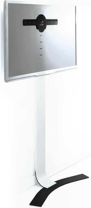 Immagine prodotto Erard Standit 400 (65", 30 kg)