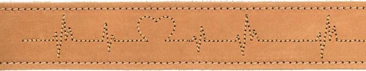 Actual product image Trixie Rustic fat leather necklace Heartbeat (L, XL, Dog)