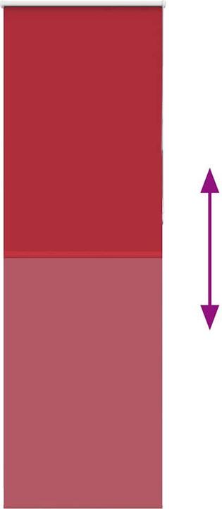 Actual product image vidaXL Verdunkelungsrollo (80 x 230 cm)