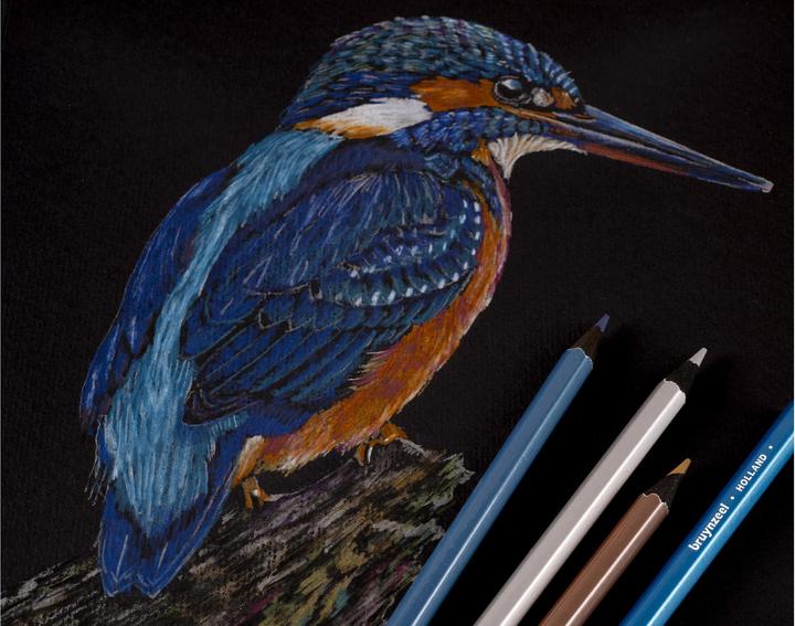 Actual product image Bruynzeel Beetle box (60 x)