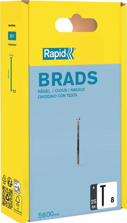 Rapid Chiodi di tipo 8 da 25 mm
