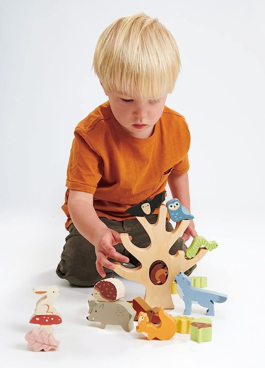 Actual product image Tender Leaf Toys Forest