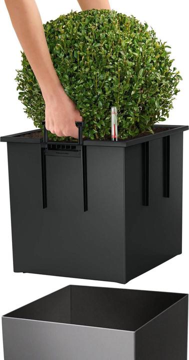 Productafbeelding Lechuza Kubus (39 x 39 x 40 cm)