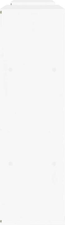 Actual product image vidaXL Ramsey (24 x 79 x 40 cm)