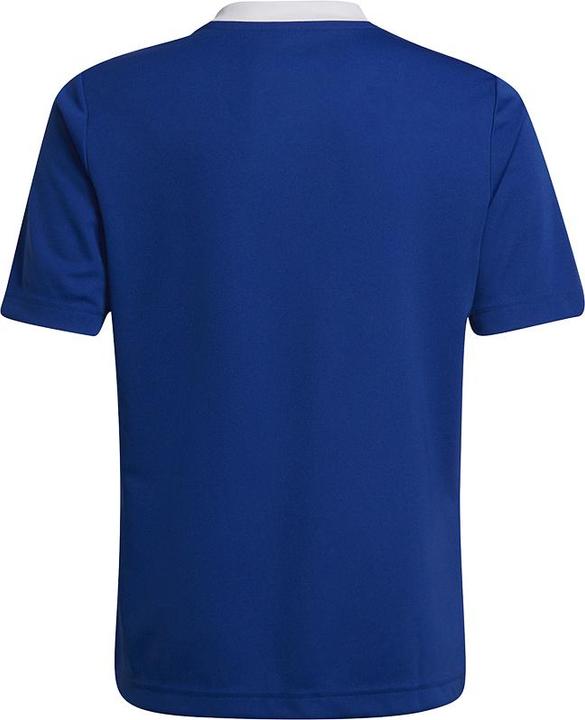 Produktbild adidas Entrada 22 Fussballtrikot Kinder (152)