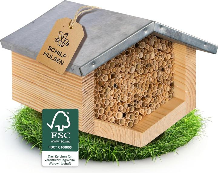 Beesi Insektenhotel mit Schilfröhrchen für Wildbienen (Wildbienen)
