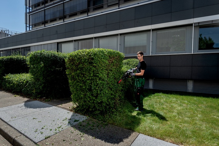 Actual product image Metabo HS 18 LTX BL 65 (Cordless hedgecutters)