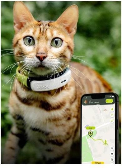 Actual product image Kippy Cat GPS (One size, Cat, General)