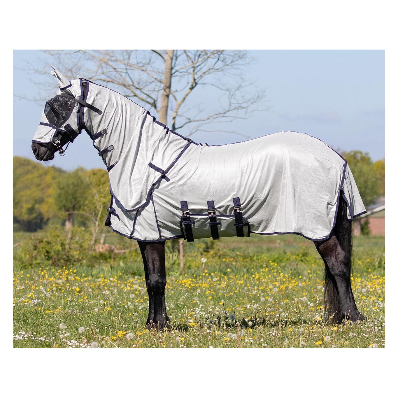 Qhp, Pferdedecke, (145 cm)