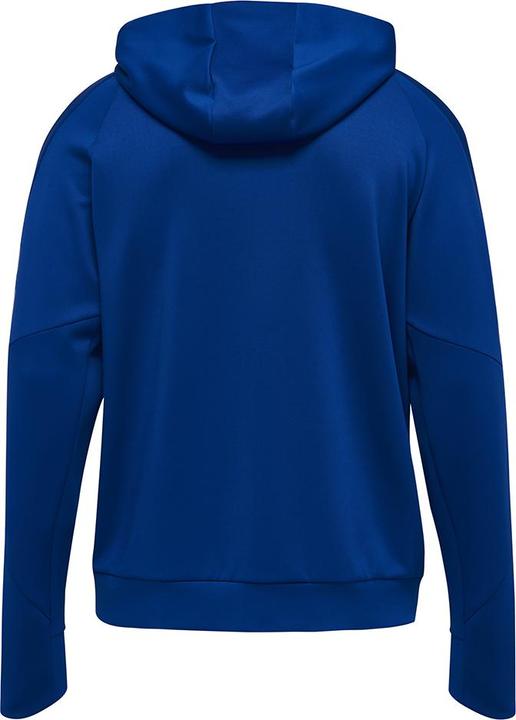 Actual product image hummel Tech Move Zip Hood (S)