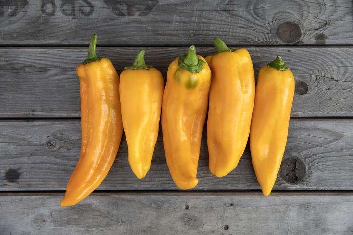 Immagine prodotto Zollinger Bio Peperoni piccanti, corno di toro giallo (Germogli)