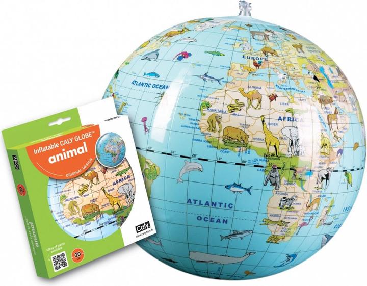 Actual product image Caly Ball All Globe 50 cm - World