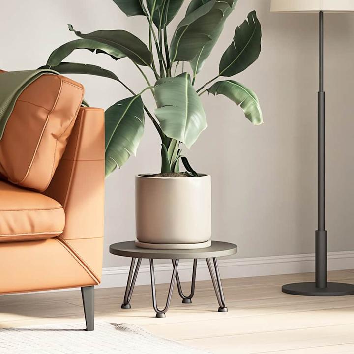 Image du produit vidaXL Haarnadelbein