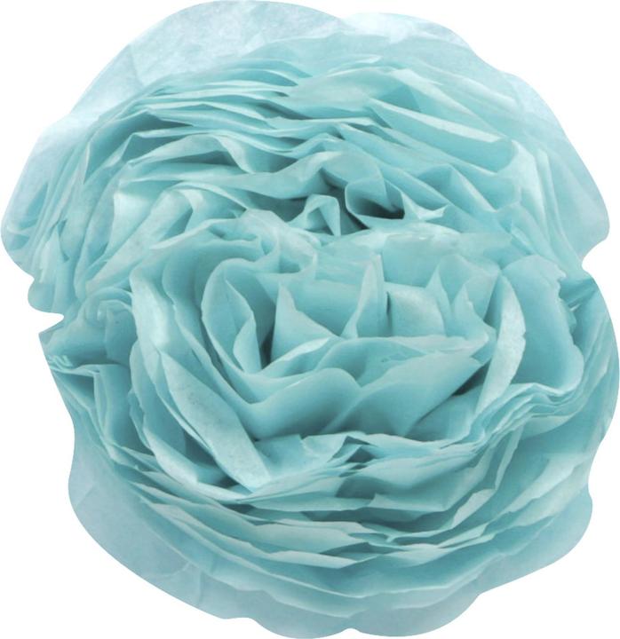 Actual product image Clairefontaine Tissue paper? (18 g/m², 1 x)