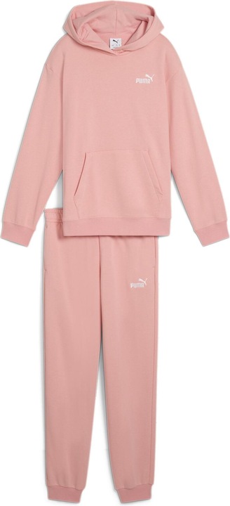 Actual product image Puma Loungewear Suit TR G (164)