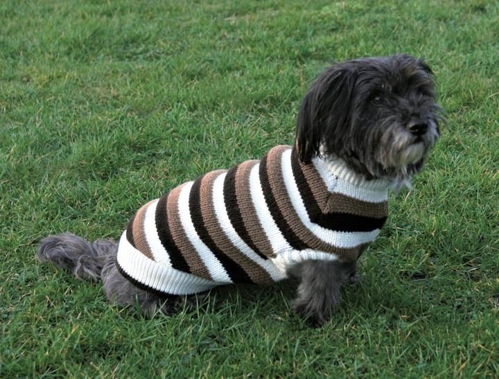 Image du produit Trixie Pull-over Hamilton- (Pull-over pour chien)