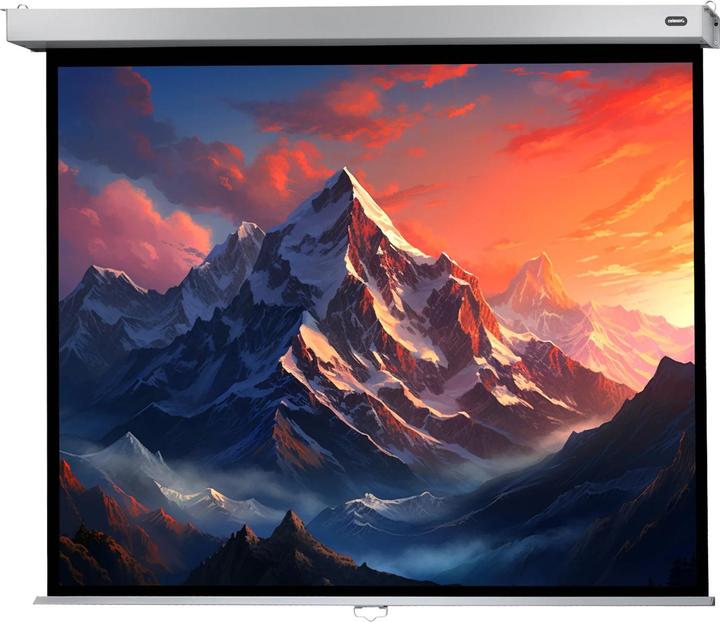 Produktbild Celexon Rollo-Leinwand Professional Plus (98.43", 4:3)