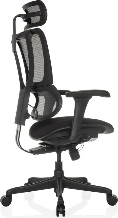 Produktbild Hjh Office Ergohuman Slim Eco F Gen2 (49 - 59 cm)