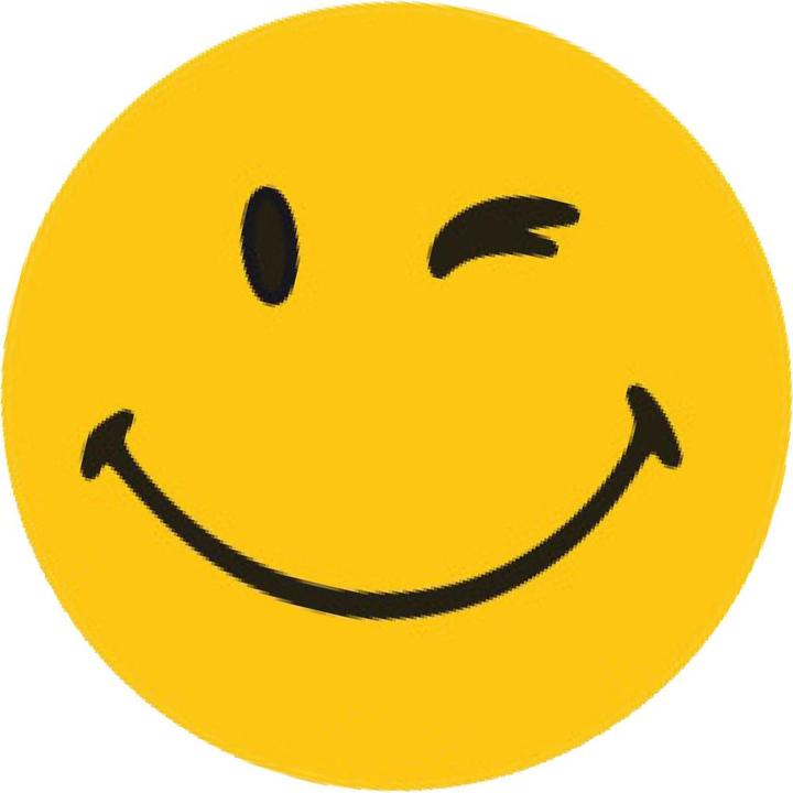 Produktbild Franken Magnete Smilies (8x)