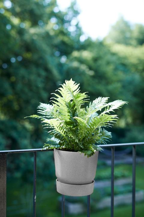 Produktbild Elho Greenville (25 cm)