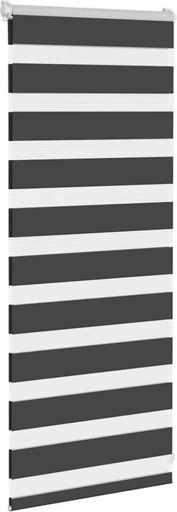 Produktbild vidaXL Zebra-Jalousie (65 x 100 cm)