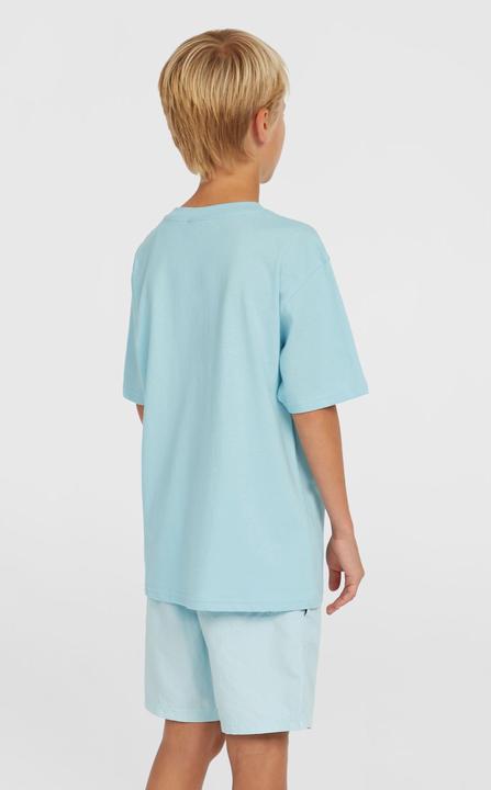 Image du produit O'Neill VERT 14" SWIMSHORTS