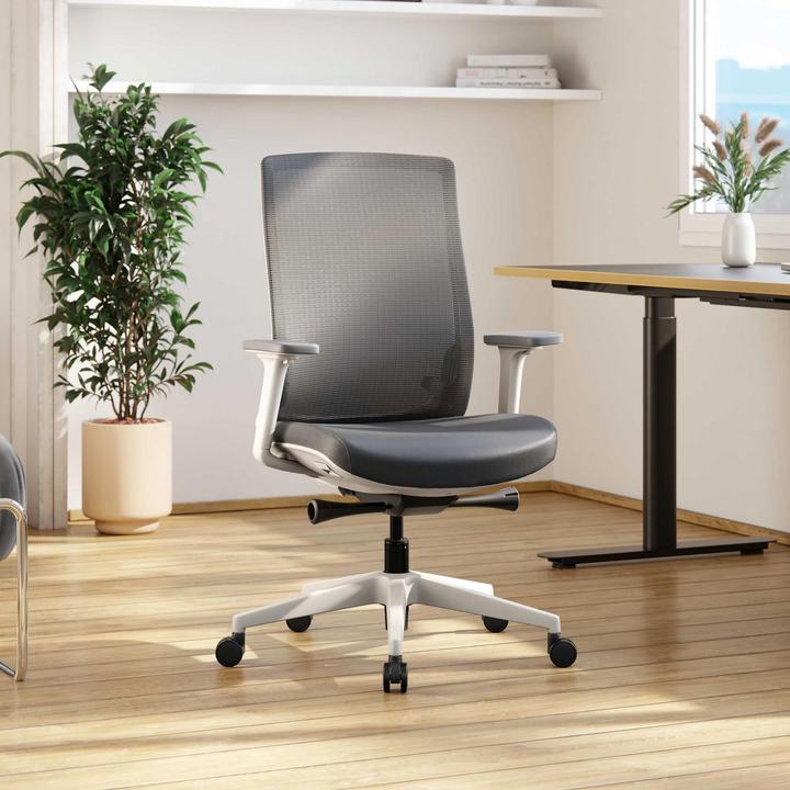 Actual product image ofinto Ergo