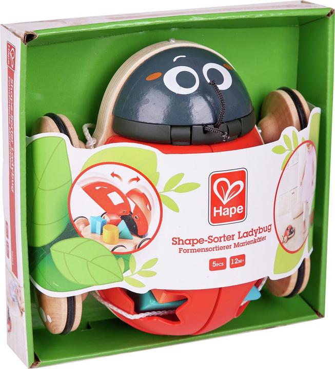Actual product image Hape Shape sorter ladybug