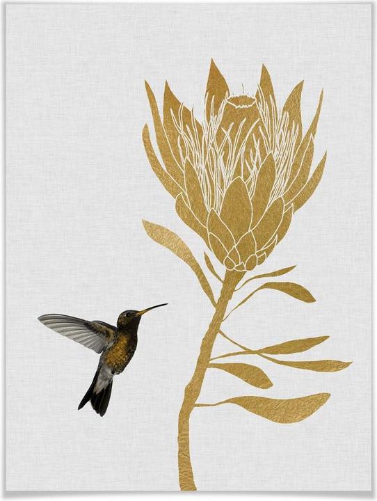 Actual product image Trenddeko Orara Studio - Hummingbird and Flower - golden flower (40 x 50 cm)