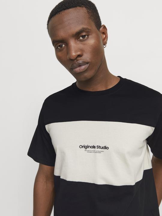 Produktbild Jack & Jones Jorvesterbro Block Tee Ss Crew Styd Aw24 (XL)