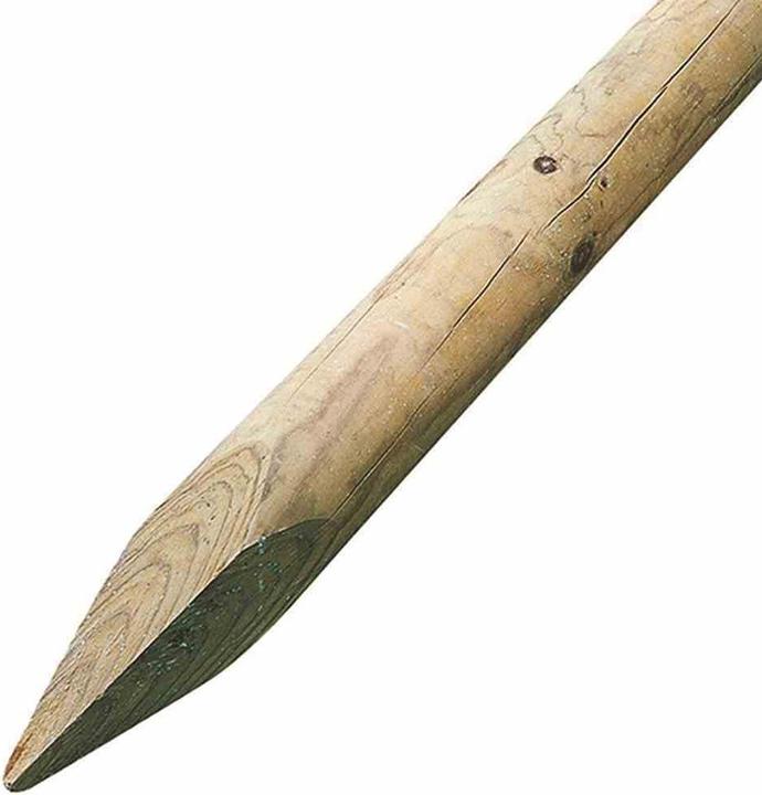 Produktbild Siena Garden Pflanzstab (200 cm, 80 cm)