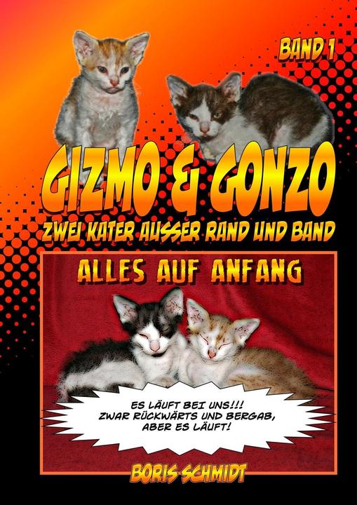 Produktbild Gizmo & Gonzo - zwei Kater ausser Rand und Band (Deutsch, Boris Schmidt, 2018)