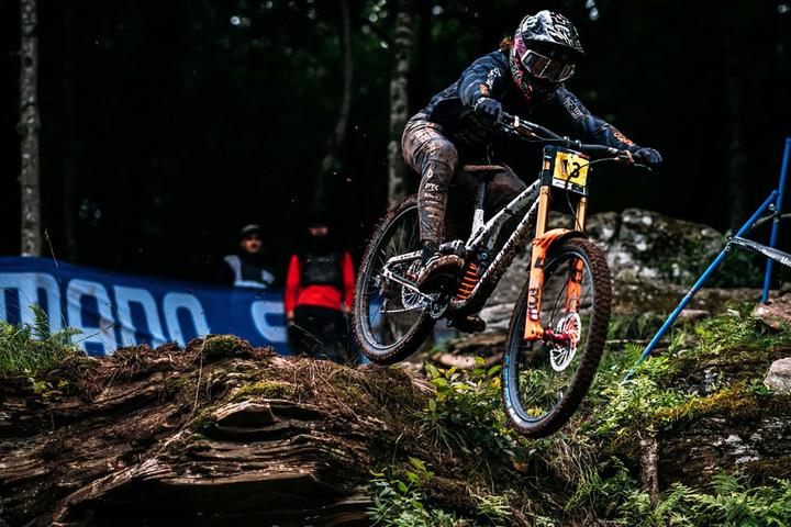 Actual product image Lizard Skins Unisex - Adult frame protection set frame cover, transparent, shiny, 10 pieces (One size, Unique specimen)