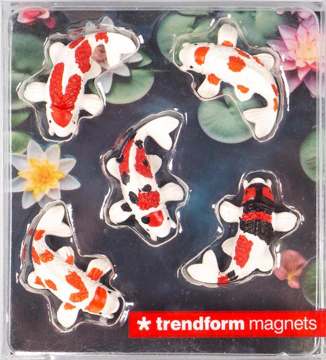Image du produit Trendform Magnete KOI (5x)
