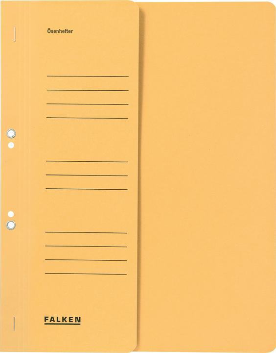 Produktbild Falken Sammelmappe 1/2 Deckel (A4, 1 x)