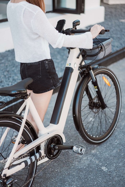 Immagine prodotto Okai EB10 (48 cm)
