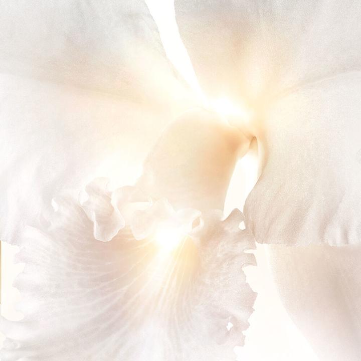 Image du produit Guerlain Sérum pour les yeux Orchidée Impériale Brightening The Radiance (Soin des yeux Sérum, 15 ml, Jour + nuit)