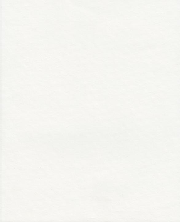 Actual product image Stamperia Stone paper (300 g/m², 1 x)