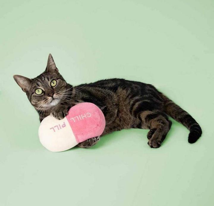 Actual product image Coockoo Plüsch Chill Pill (Plush toy cat)