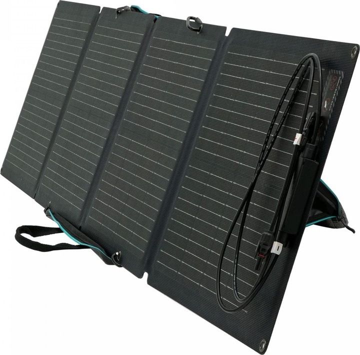 Immagine prodotto EcoFlow Pannello solare (110 W, 4 kg)