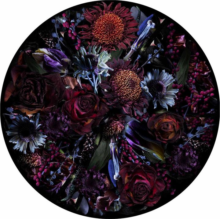 Actual product image Moooi Fool's Paradise carpet (300 x 400 cm)