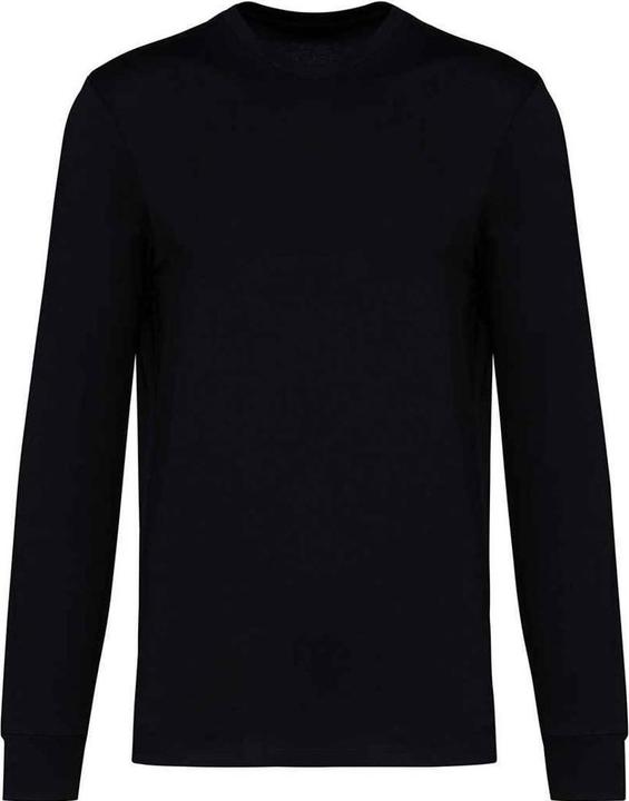 Produktbild Native Spirit TShirt Langärmlig (L)