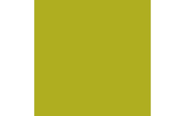 Produktbild Amsterdam Acrylfarbe Standard Series 621 (Olivgrün Hell, 120 ml)