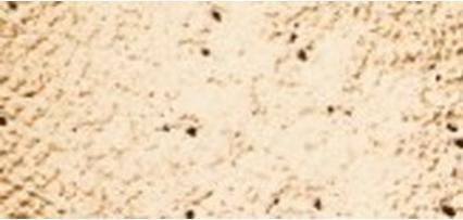 Actual product image Inika Organic Organisches Mineralpuder mit LSF 25 Vegan schichtbar für makellosen Glanz