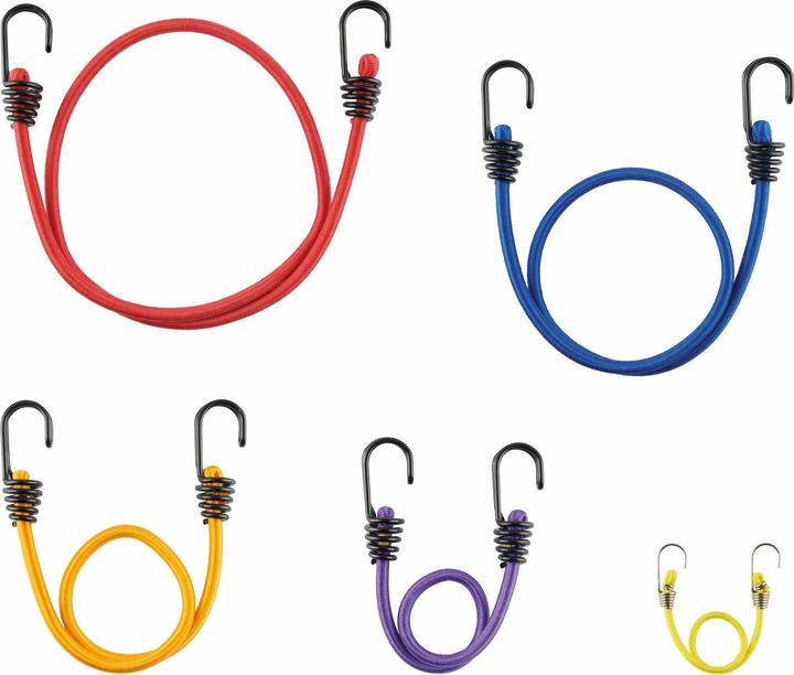 Actual product image Thirard Set de 10 sandows varies