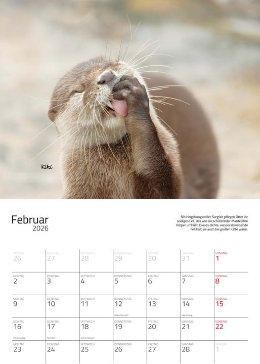 Produktbild Otter Kalender 2026 Wandkalender Eintragkalender